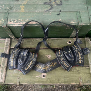 Pakistani Khyber Pass Leather Chest Rig